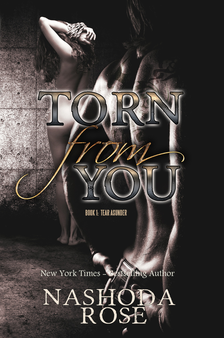 Torn from You ebook amazon smashwords goodreads NYT  smaller